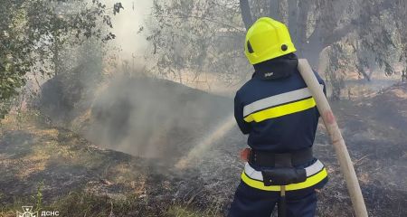 Горели гектары травы: на Днепропетровщине потушили масштабные пожары в экосистемах