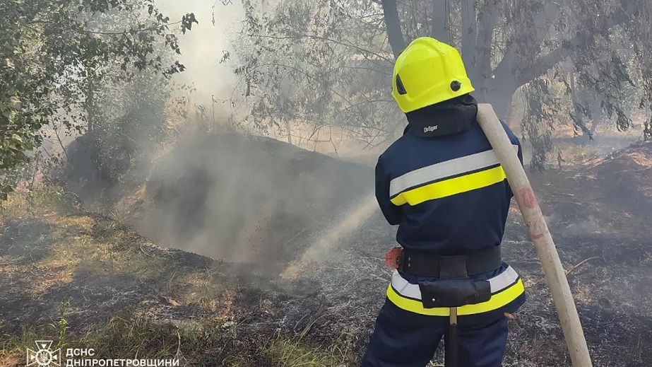 Горели гектары травы: на Днепропетровщине потушили масштабные пожары в экосистемах
