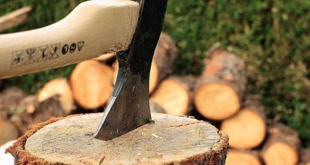 850 гривень за удар сокирою: на Дніпропетровщині стався зухвалий напад на жінку