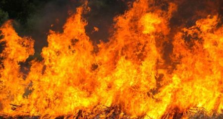 Понад чотири години рятувальники Дніпропетровщини гасили лісову пожежу (ФОТО)