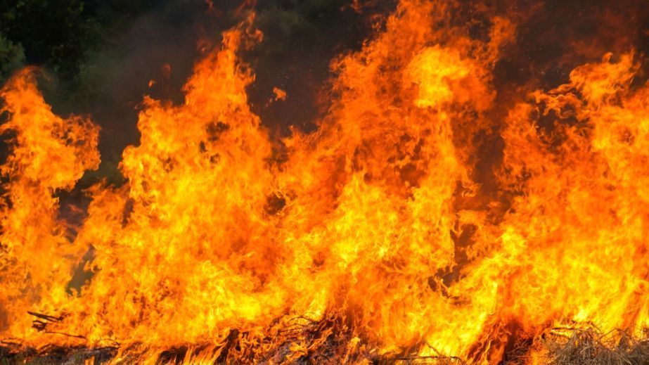 Понад чотири години рятувальники Дніпропетровщини гасили лісову пожежу (ФОТО)