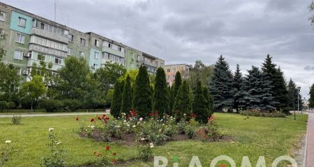 Сорванные цветы обернулись судом: в Кривом Роге семейную пару наказали за нападение на соседку