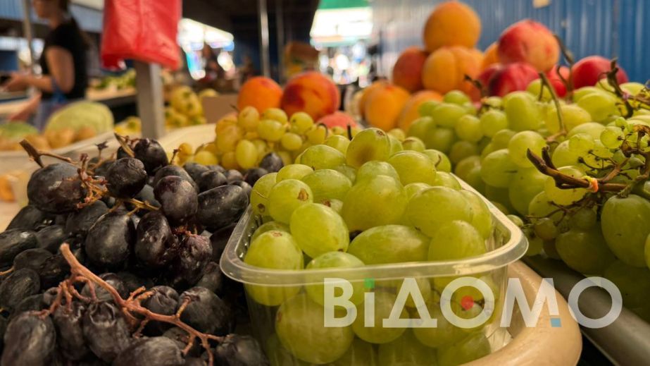 Як під Кривим Рогом червонокнижна комаха захищає врожай винограду (ФОТО)