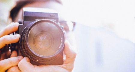 Гість із степів: на Дніпропетровці помітили незвичайну комаху (ФОТО)