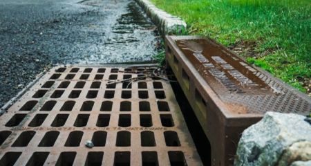 Тиждень виживає під землею: у Дніпрі собака застряг у колекторі (ФОТО)