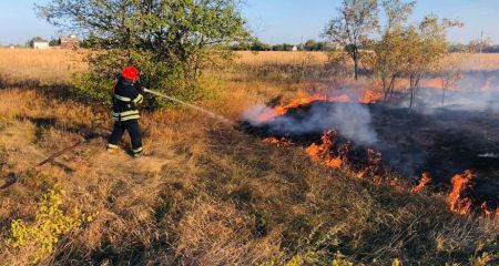 У Дніпрі за житловим масивом Перемога горять дачні ділянки (ВІДЕО)