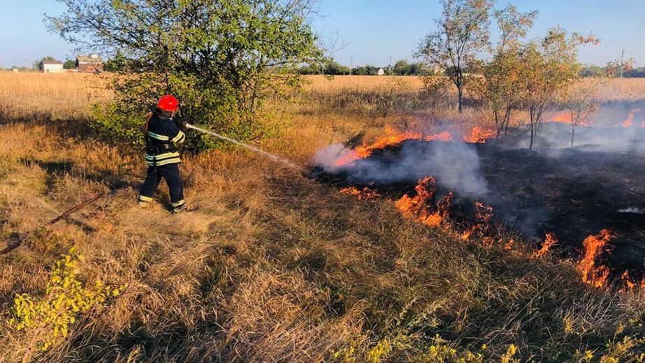 В Днепре за жилмассивом Победа горят дачные участки (ВИДЕО)