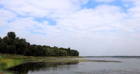 У Дніпрі зупинили спробу незаконного зменшення прибережної захисної смуги річки Дніпро (ФОТО)