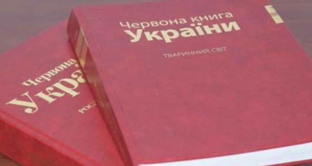 "Огненный гость" на Днепропетровщине: на юге области обнаружили птицу из Красной книги (ФОТО)