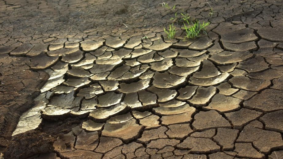 Зникають водоймища та страждає врожай: на Дніпропетровщині масово пересихають ставки та колодязі