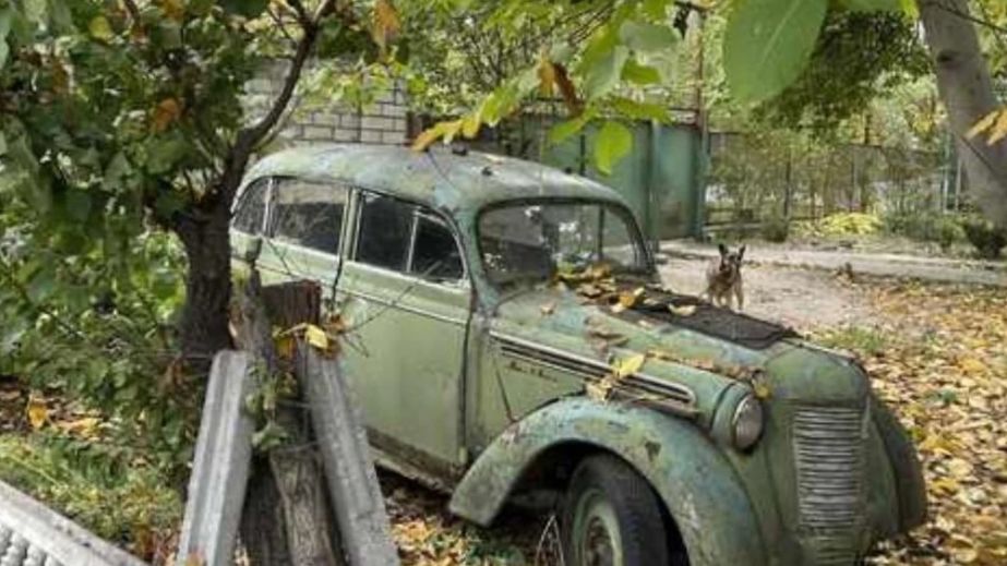 Десятки раритетів в одному дворі: під Дніпром знайшли "цвинтар" машин (ФОТО)
