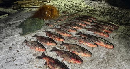 На Дніпропетровщині ...