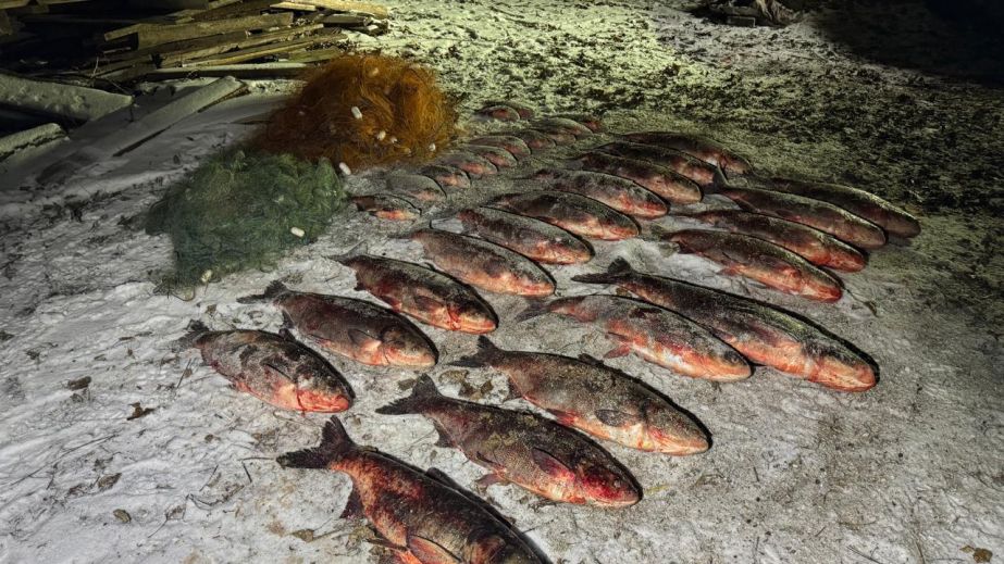 На Дніпропетровщині браконьєр наловив риби на 89 тисяч грн та тікав по кризі (ФОТО)