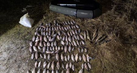 Выловил 32 килограмм...