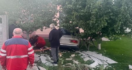 Сбил четырех подрост...