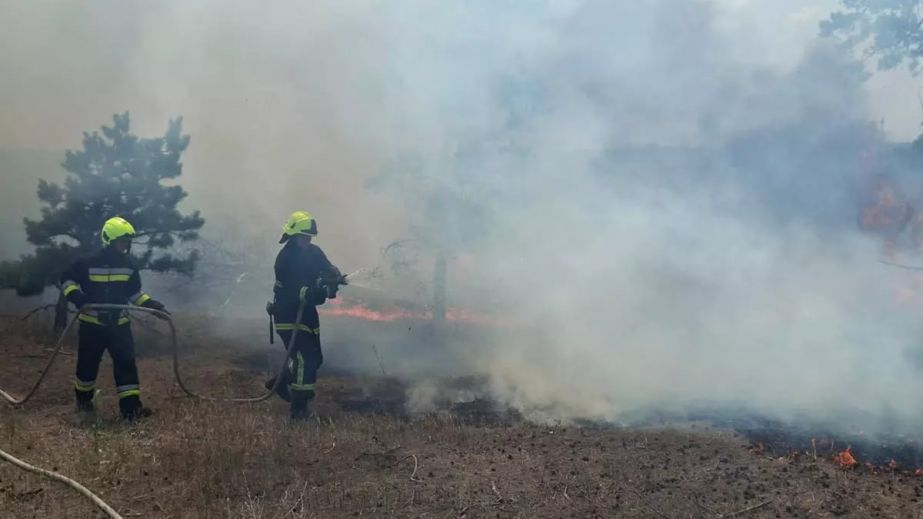 Людська недбалість та спека додають роботи вогнеборцям Дніпропетровщини