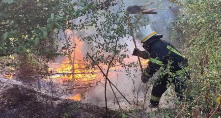 На Днепропетровщине горят свалки и экосистема
