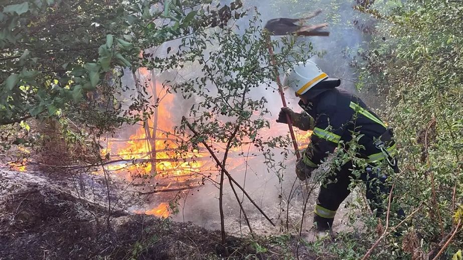На Дніпропетровщині палають сміттєзвалища і горить екосистема
