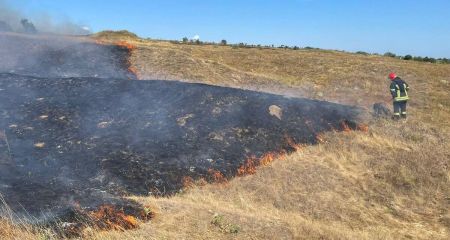 За добу на Дніпропетровщині вигоріло понад 40 гектарів екосистем