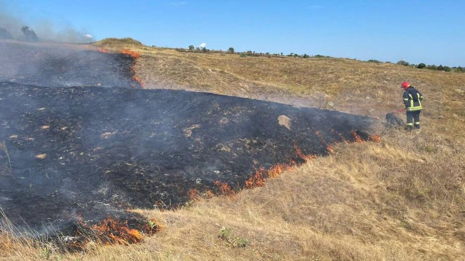 За сутки на Днепропетровщине выгорело более 40 гектаров экосистем