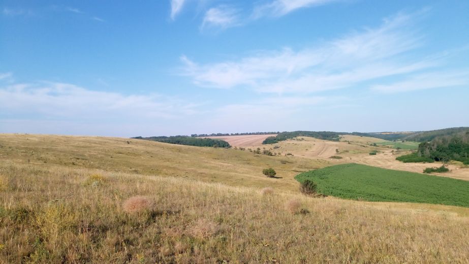 На Дніпропетровщині екологи б'ють на сполох через знищення рослин промисловими кар'єрами (ФОТО)