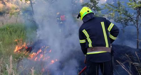 У Криворізькому районі масштабна пожежа - горить сухостій (ФОТО)