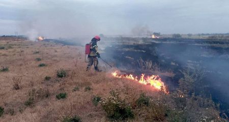 На Дніпропетровщинs за добу загасили 97 пожеж в екосистемі