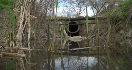 Сбрасывали неизвестное вещество: В Днепре озеро Куриное превратили в пенную "ванну"