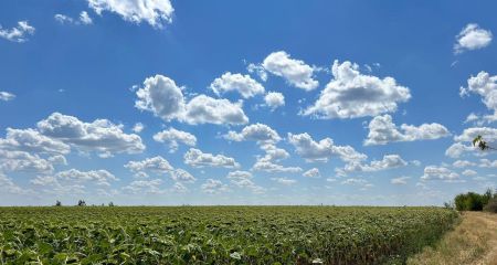 У Дніпропетровській області фермери незаконно засівали танковий полігон (ФОТО, ВІДЕО)