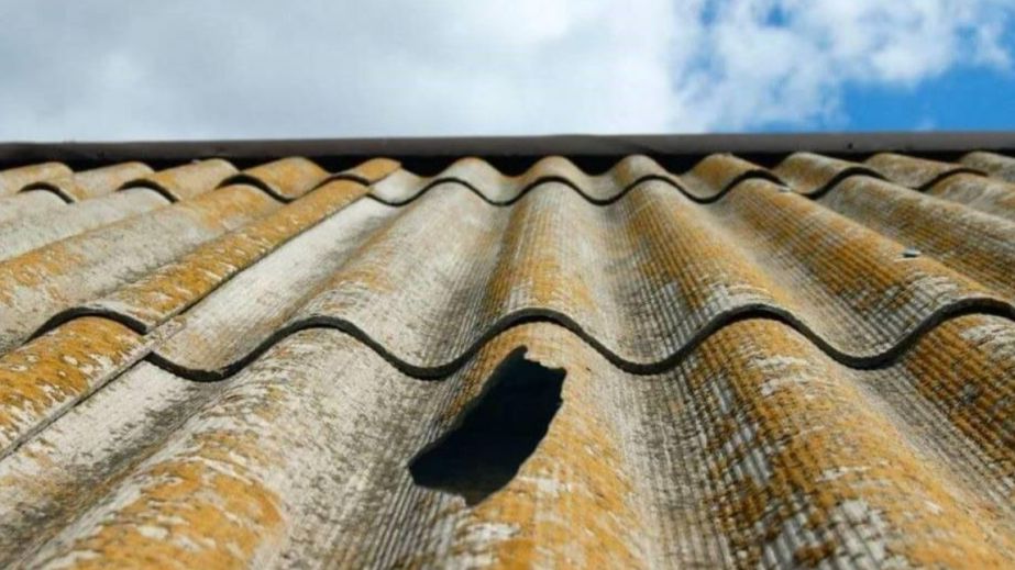 Впала з гуркотом: у Дніпрі гілка пошкодила житловий будинок (ФОТО)