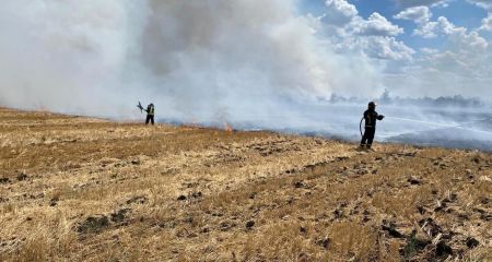 За сутки на Днепропетровщине ликвидировали более полусотни пожаров в экосистемах