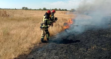 На Дніпропетровщині зростає кількість пожеж в екосистемах