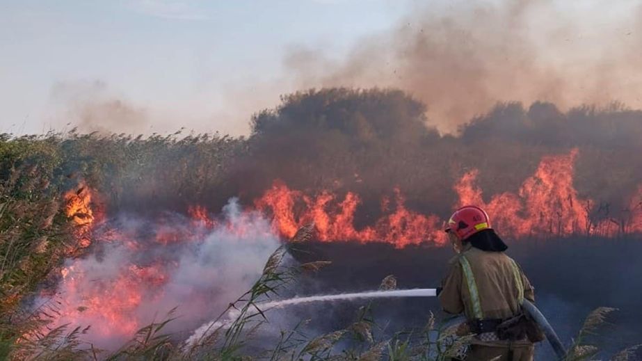 Стовп диму перед в'їздом у Дніпро: у передмісті палає суха трава (ВІДЕО)