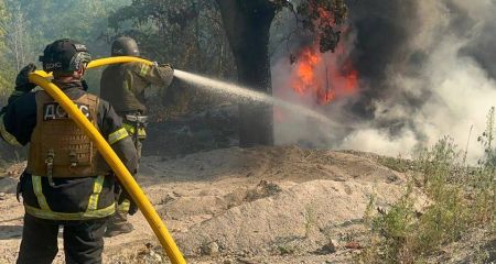 Более 10 атак на два района Днепропетровщины: враг гатив артиллерией и FPV-дронами (ФОТО)