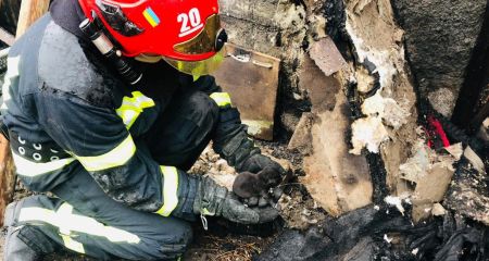 Під час пожежі на Криворіжжі врятували крихітне цуценя (ФОТО)