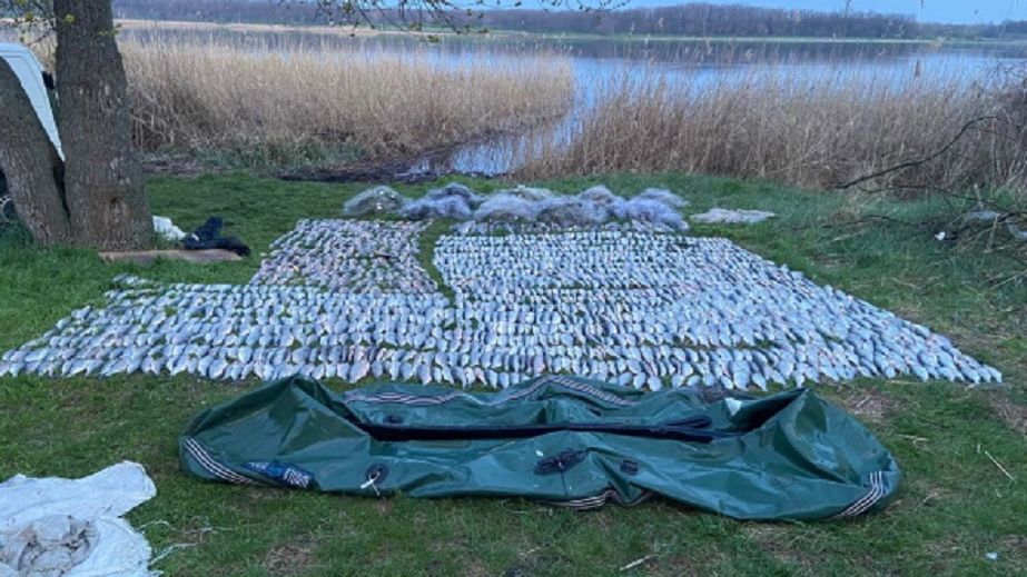 В Днепропетровской области браконьеры наловили за месяц рыбы на 4,5 млн грн