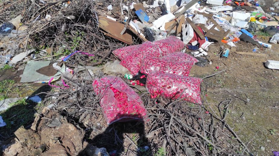 Невідомі викинули на стихійний смітник Дніпра п’ять великих мішків свіжої редиски