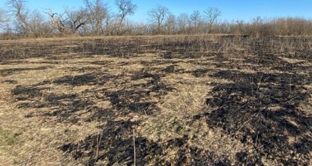 На Дніпропетровщині чоловік спалив три гектари землі з рослинністю