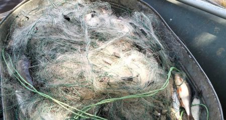 На Кам’янському водосховищі браконьєри наловили риби майже на мільйон гривень