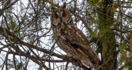 В Криворожском район...