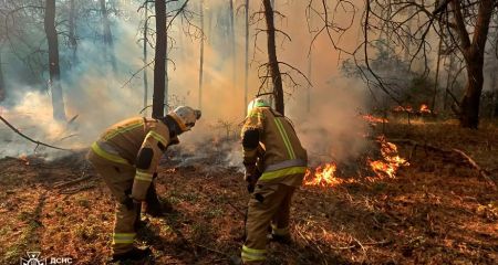 В Новомосковском районе горел лес