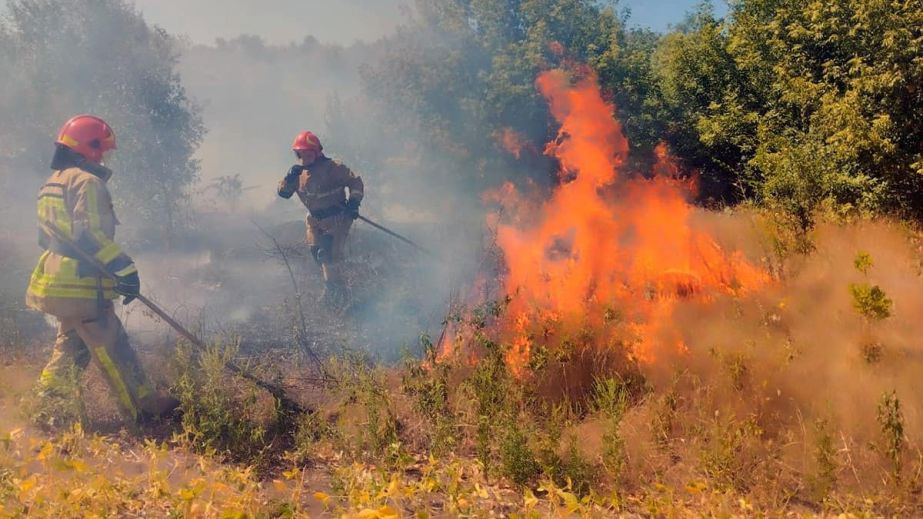 За добу на Дніпропетровщині вогонь знищив понад 50 гектарів екосистем