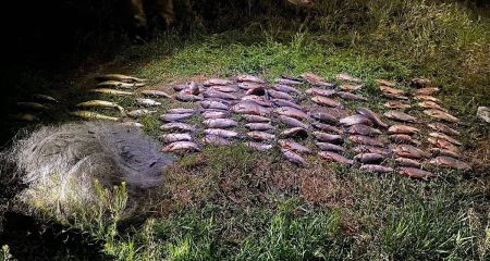 Нарыбачили на более чем 430 тысяч гривен: на разных водоемах Днепропетровщины поймали сразу трех браконьеров за день (ФОТО)