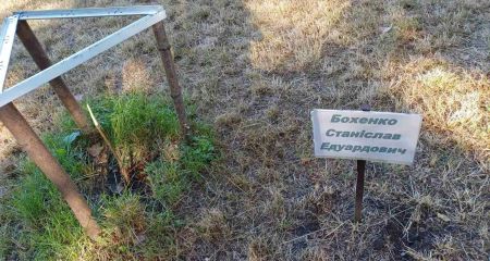 У Кам'янському вандали зламали дерева, висаджені на честь загиблих воїнів (ФОТО)