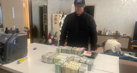 Миллион долларов наличными и элитное жилье: в Днепре задержали начальницу отдела экоинспекции (ФОТО)
