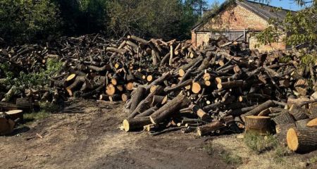 Нарубили деревьев на...