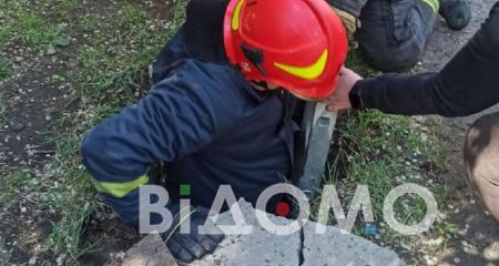 У Кривому Розі з колодязя врятували собаку (ФОТО)