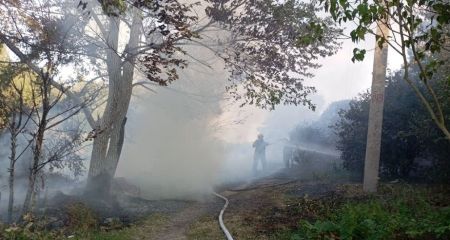 Під Дніпром сталася масштабна пожежа на березі річки Оріль (ФОТО)