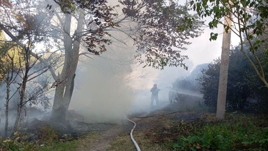 Під Дніпром сталася масштабна пожежа на березі річки Оріль (ФОТО)