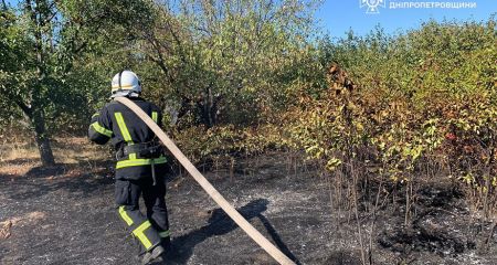 На Дніпропетровщині ррятувальники витягали з вогню їжаків (ФОТО)